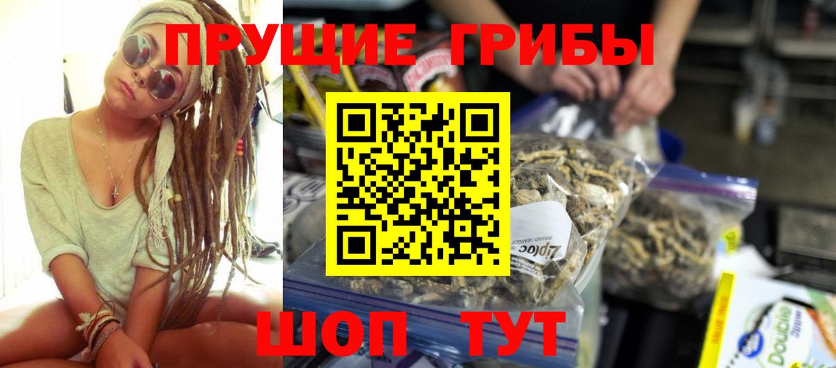 Псилоцибиновые грибы GOLDEN TEACHER Россия