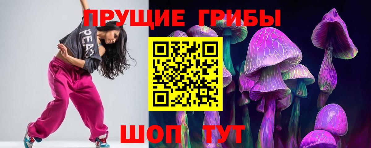 Россия  Псилоцибиновые грибы мицелий  Вход с VPN 